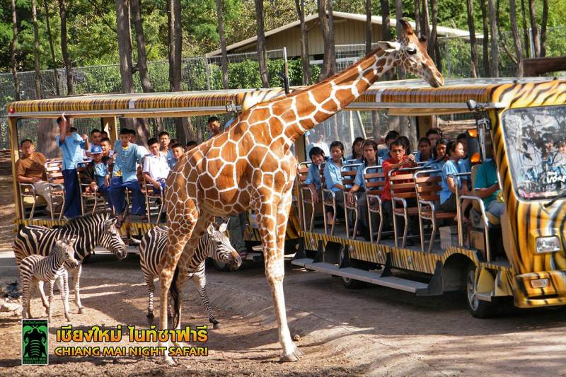 5n Awesome Singapore Tour Sing - 006