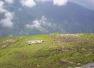 Manali To Rani Sui Tour