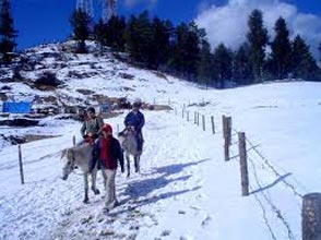 Shimla Hill Station Tour