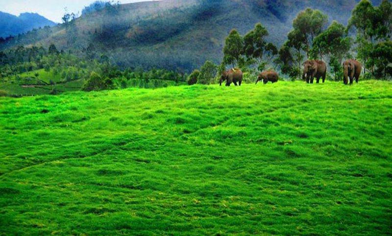 Kerala Package 7 Days & 6 Nights package