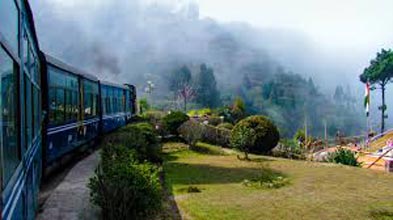 Full Darjeeling Sightseeing Tour