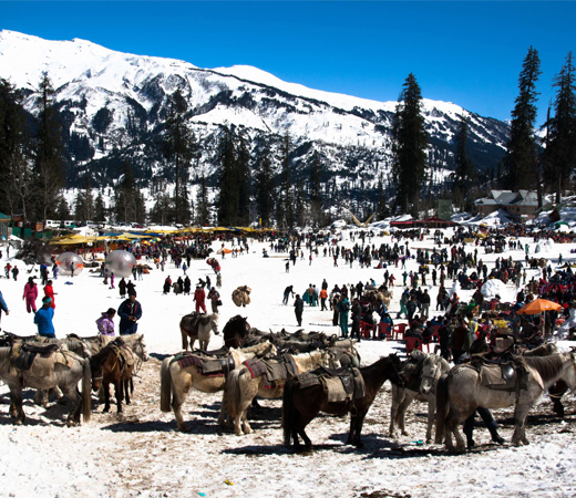 Shimla Volvo Package