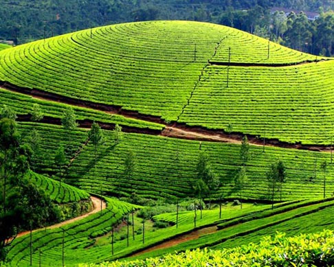 Lovely North East package