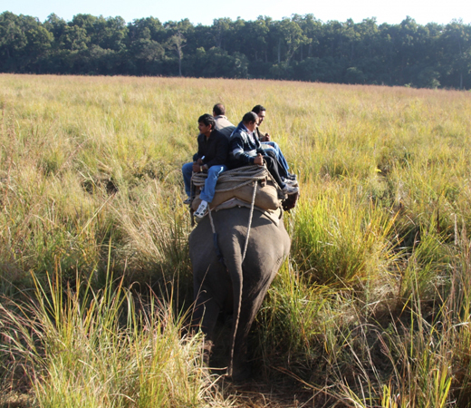 Corbett Nights Package