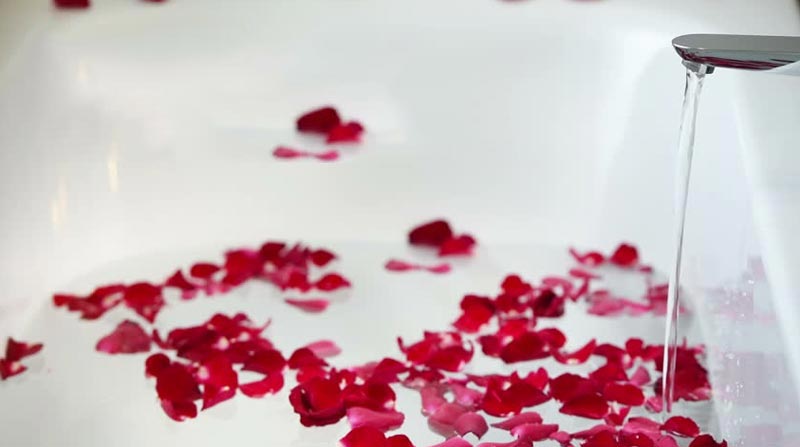 Special Shimla Manali Honeymoon holiday package starting from Rs.7499Special Shimla Manali Honeymoon