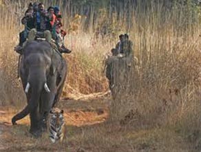 Bhandhavgarh National Park Tour With Safari