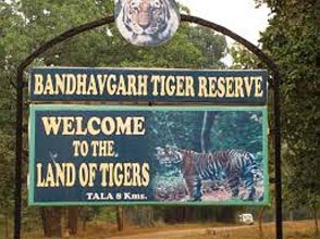 Bhandhavgarh National Park Tour With Safari