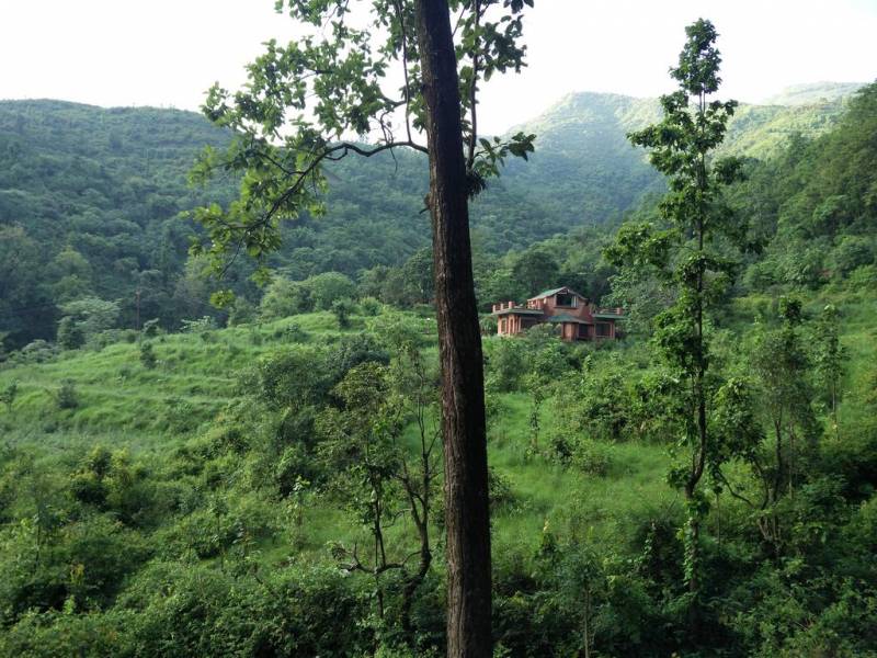 Holiday Forest Resort New Year Package