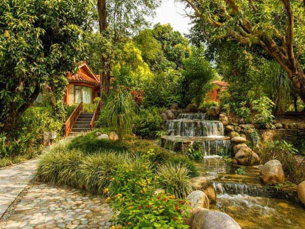 Machan Resort Christmas & New Year Package