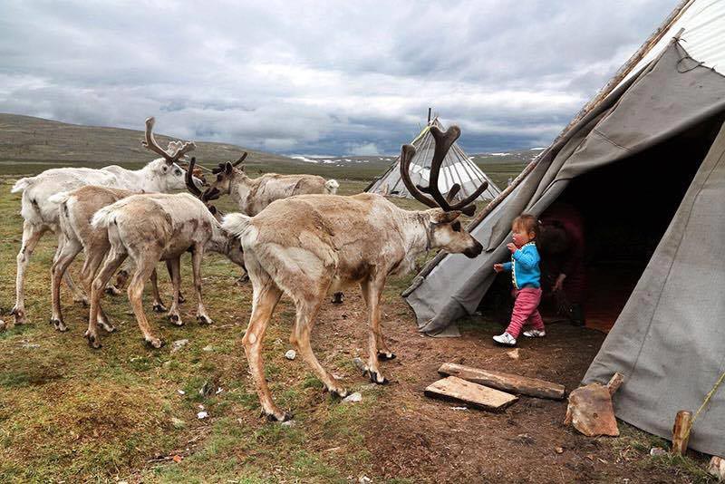 Journey to the West Tour