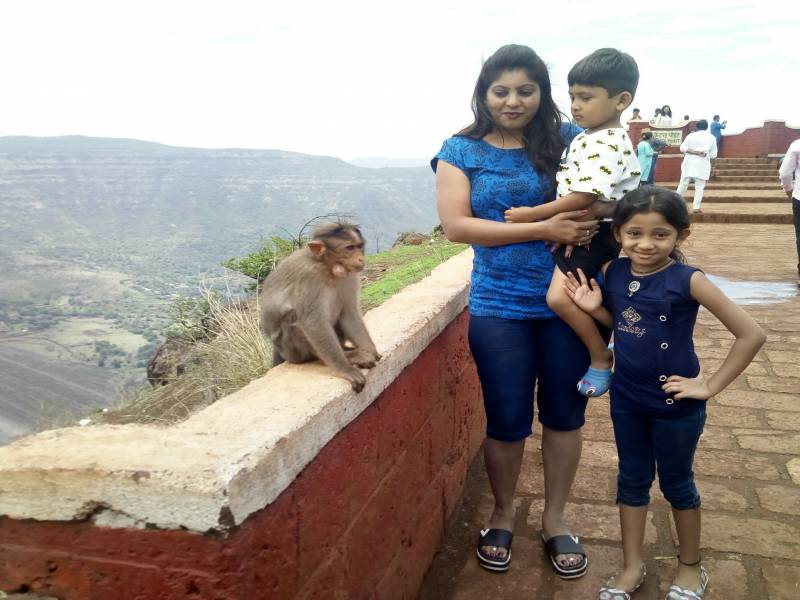 1 Night 2 Days Packages