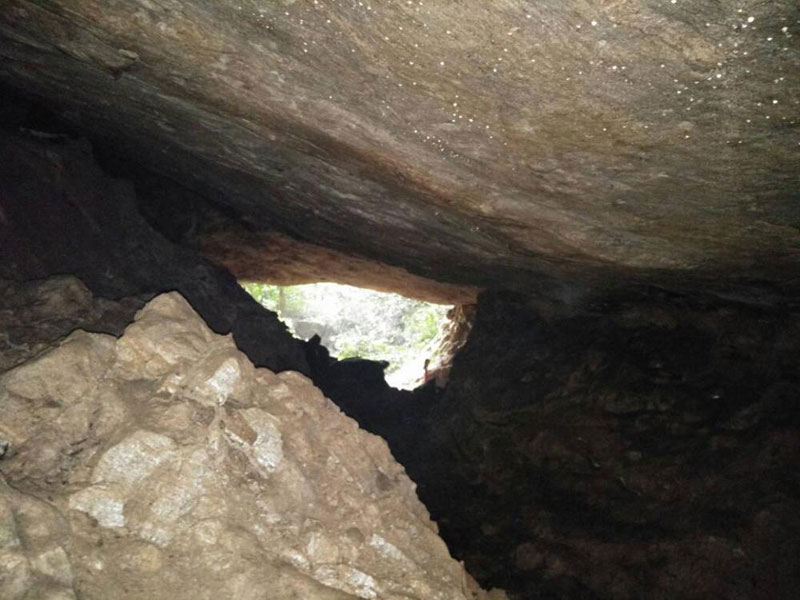 Camp in the Tea Hill Tour