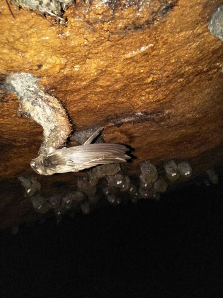 Camp in the Tea Hill Tour