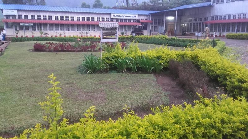 Places to Visit in Munnar Tour