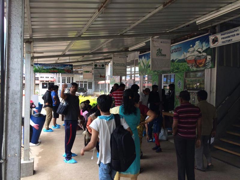 Places to Visit in Munnar Tour