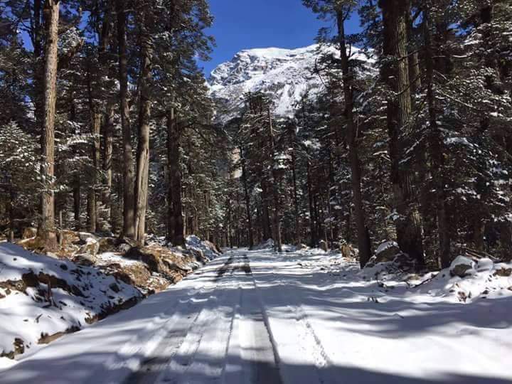 Gangtok, Lachen & Lachung 4N 5D Tour