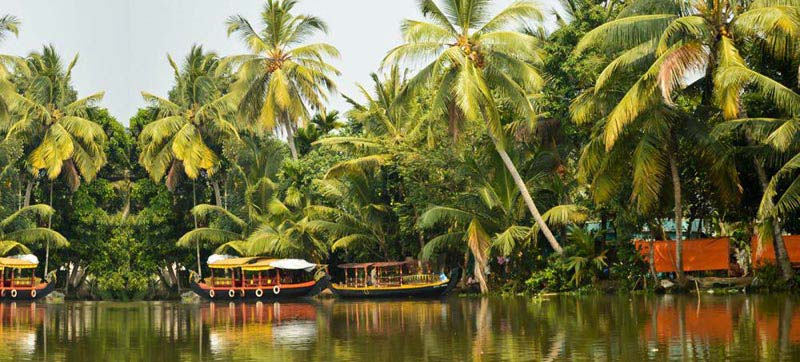 Exotic Kerala Tour Package