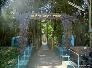 Elephant Special Tour