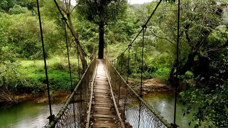 Coorg Sightseeing Tour