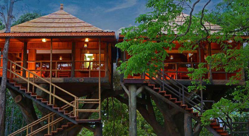 Periyar Tour With Treehouse