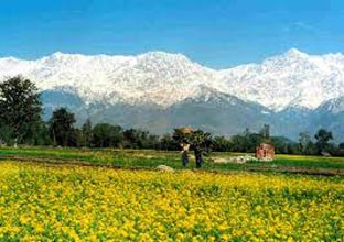 Himalayan Holiday Package -Explore Himachal
