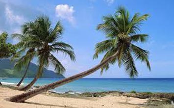 Delightful Goa Vacation Tour