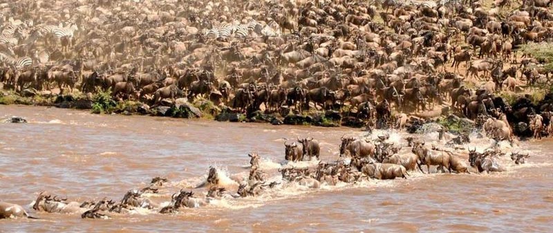 3-Day Masai Mara Budget Tour