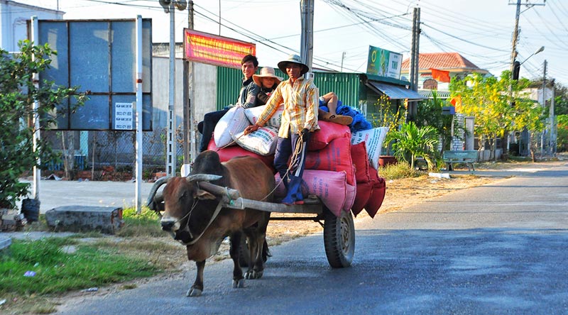 Adventure Vietnam 15 Days 14 Nights Tour