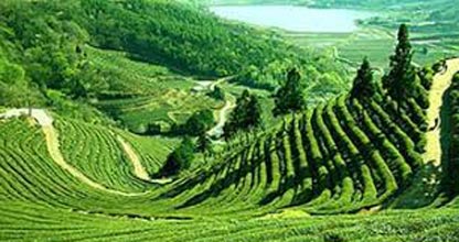 Lush Valleys To Himalaya Tour