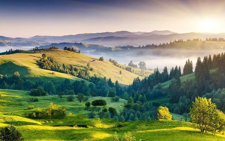 Kodaikanal 2 Nights / 3 Days Tour