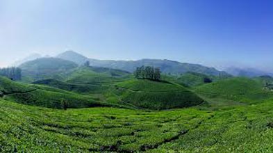 Munnar Hills Tour