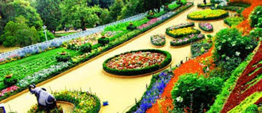 Ooty Hill Tour Package