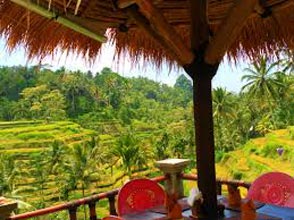 Kuta And Ubud 3 Star Package For 5 Days
