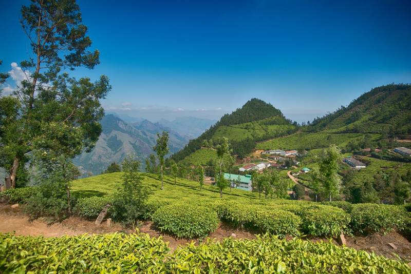 Tea Plantation Stays In Assam Tour Package