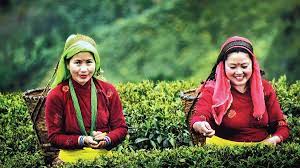 4 Nights/ 5 Days Darjeeling Gangtok