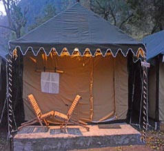Luxury Swiss Tent In Rishikesh Tour