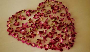 Andaman Lagoons - 4N5D Andaman Honeymoon Package