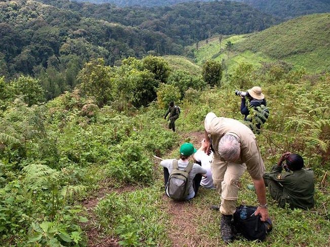 7 Days Gorilla and Chimpanzees of Uganda Experience Tour