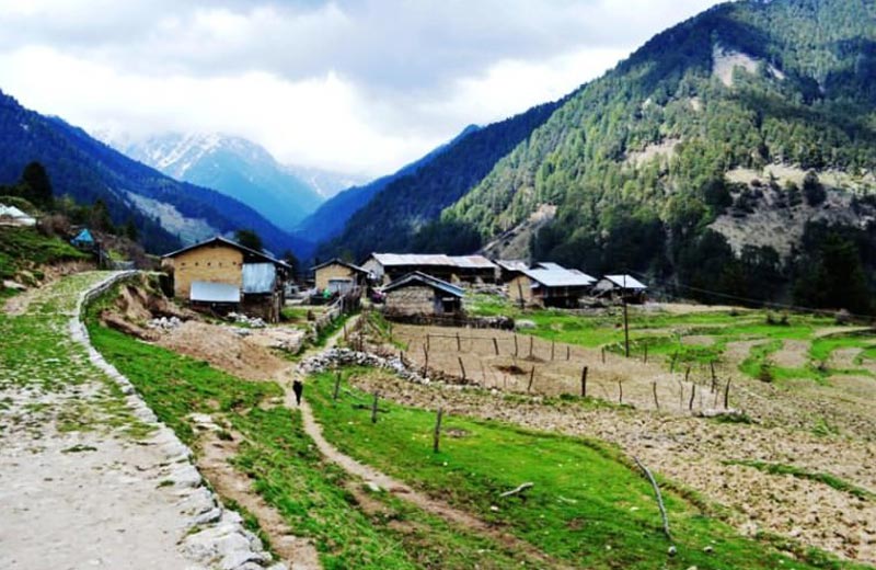 Trekking Camping Paragliding In Bir/Barot Tour