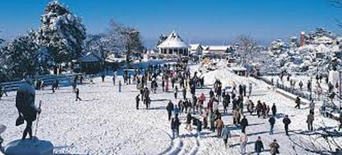 Shimla Volvo Tour Package