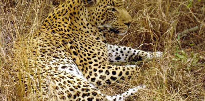 6 Days Trip To Serengeti And Ngorongoro Tour