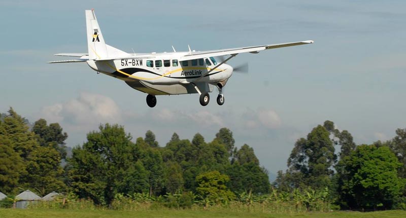3 Day Fly-In Uganda Gorillas Exclusive