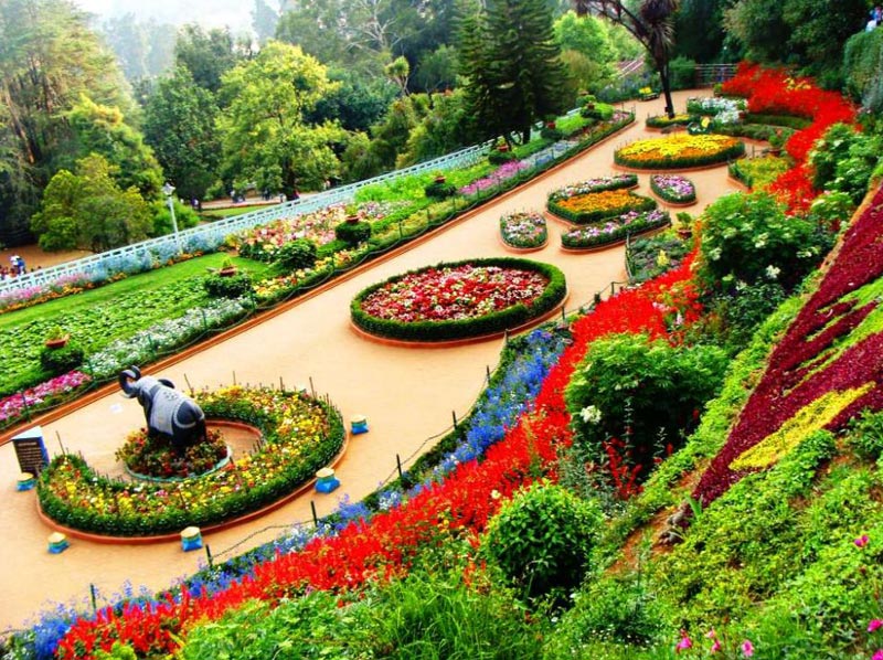 Bangalore To Ooty Package
