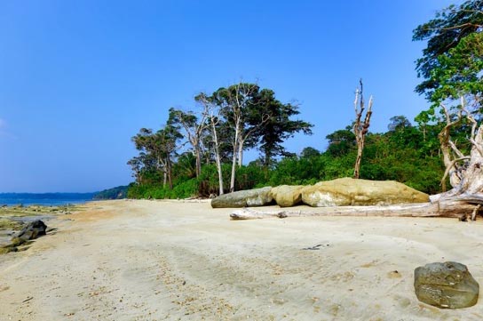 South Andaman Package