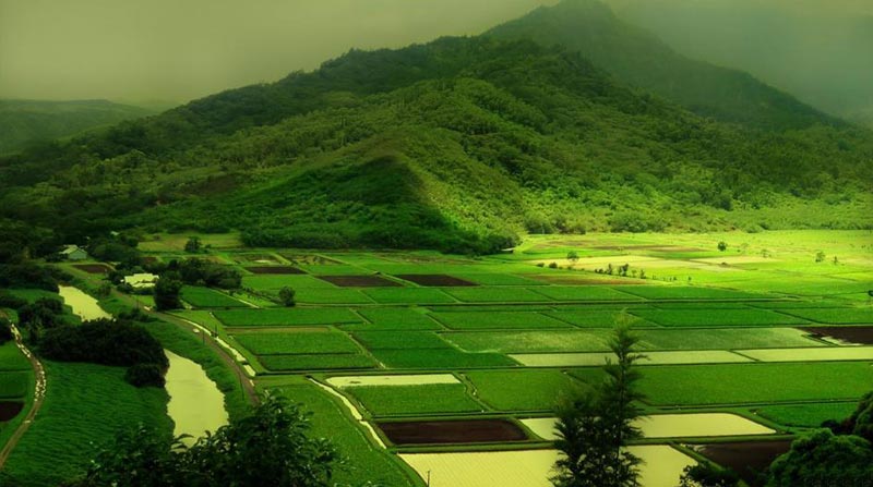 Kerala Economic Tour