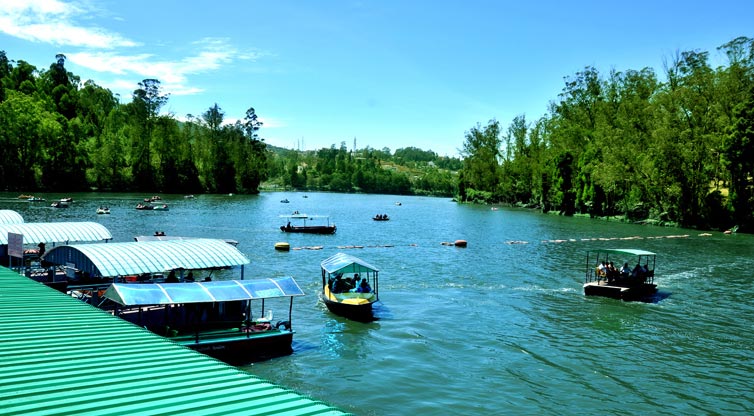 Bangalore, Mysore, Ooty, Kodaikanal Tour package