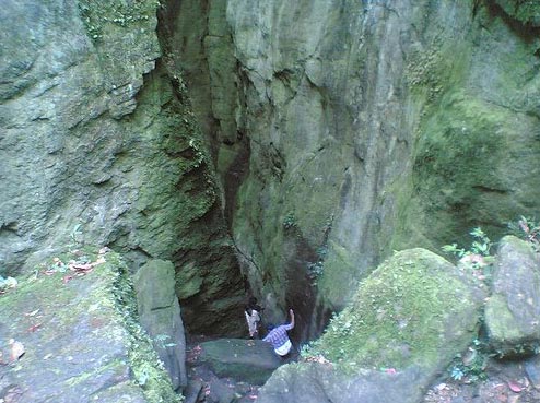 Bangalore, Mysore, Ooty, Kodaikanal Tour package