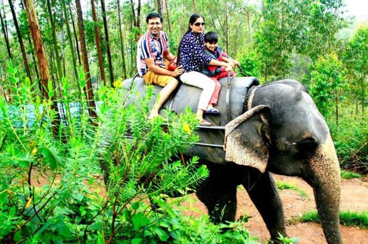 Cochin Munnar Romantic Tour Package