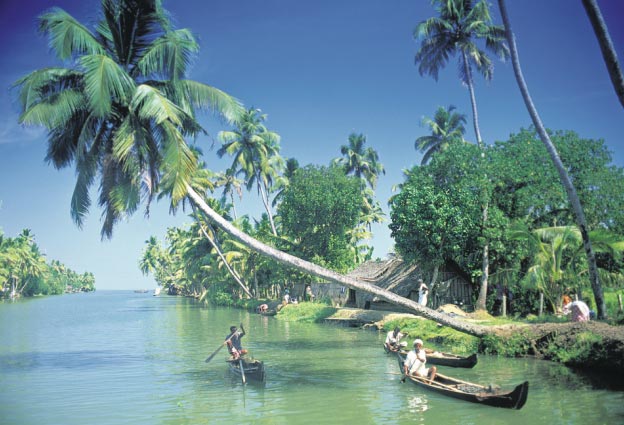 Cochin Munnar Romantic Tour Package