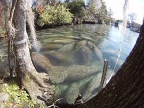 Same Day  (1 Day) Amarkantak Tour Package